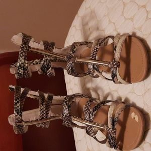 Steven madden gladiator sandals